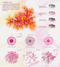 Micro Formation